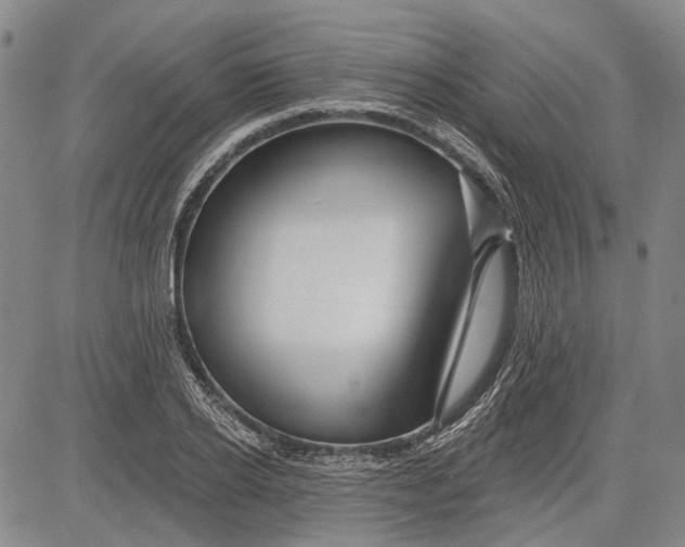 X0000083610934200703051540