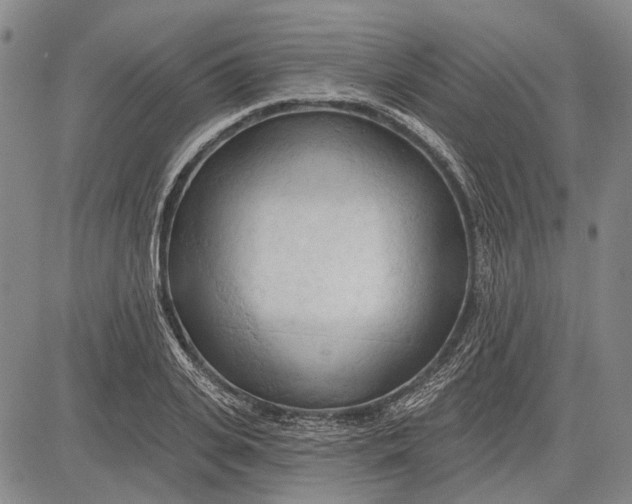 X0000083610935200703051540