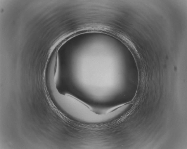 X0000083610936200703051540