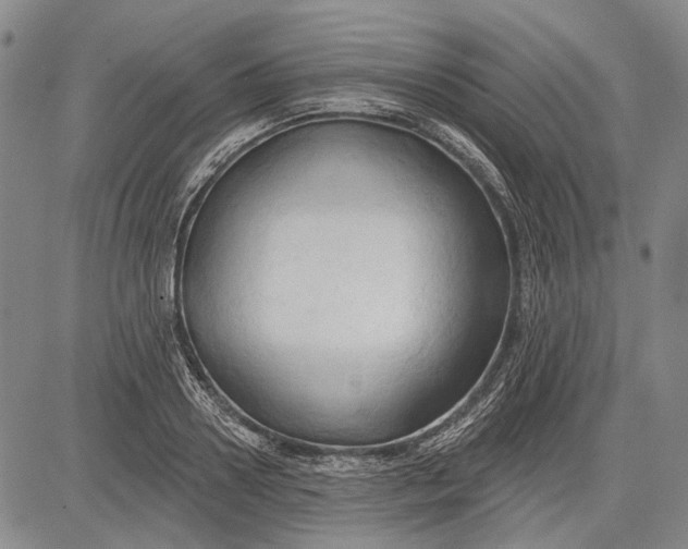 X0000083610938200703051540