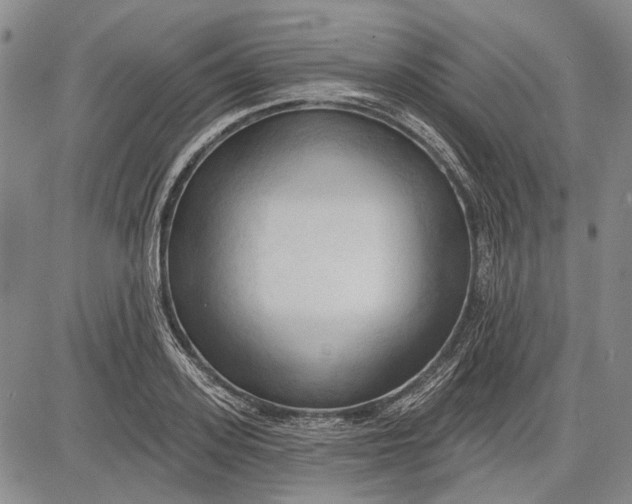 X0000083610939200703051540