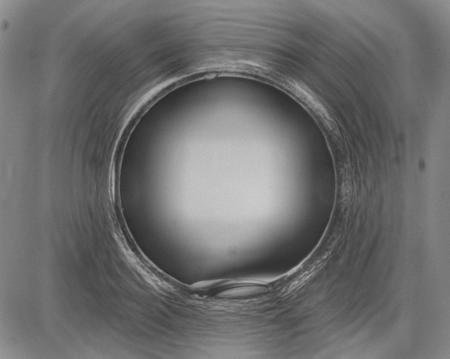 X0000083610940200703051540