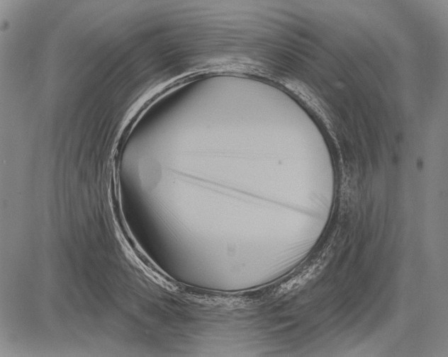 X0000083610941200703051540