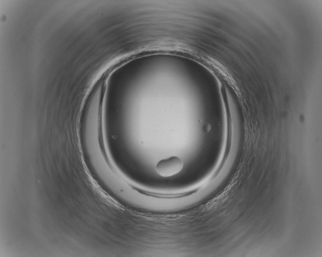 X0000083610942200703051540