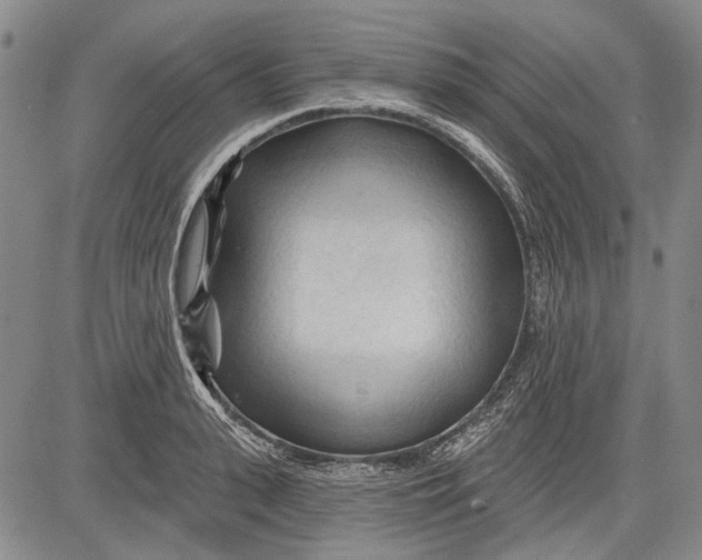 X0000083610943200703051540