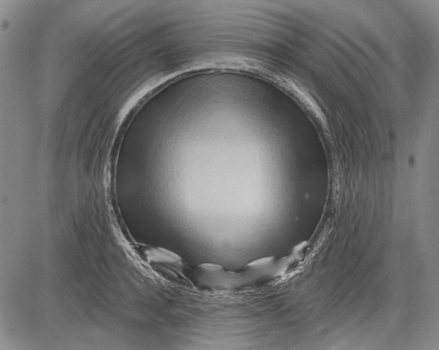 X0000083610944200703051540