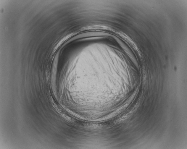 X0000083610945200703051540