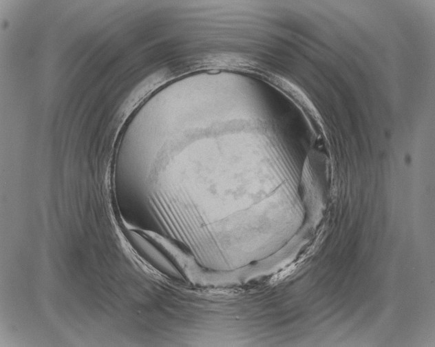 X0000083610946200703051540