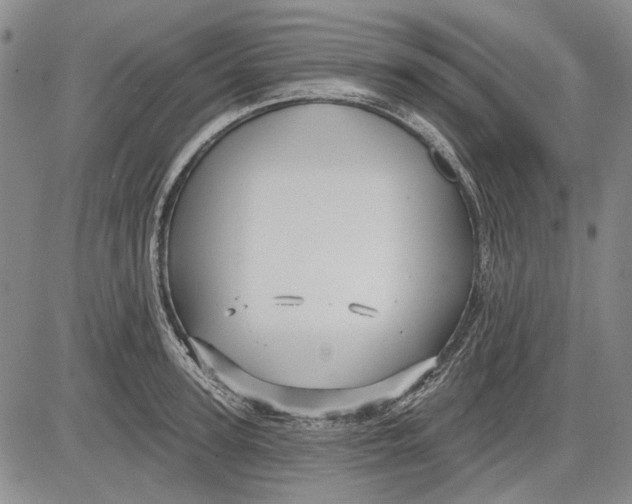 X0000083610947200703051540