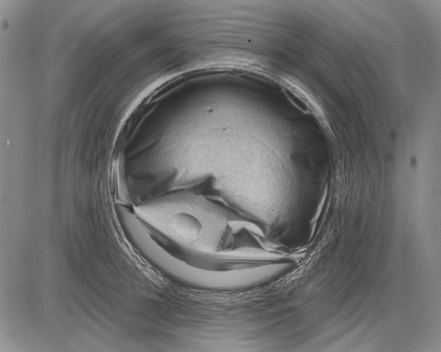 X0000083610948200703051540