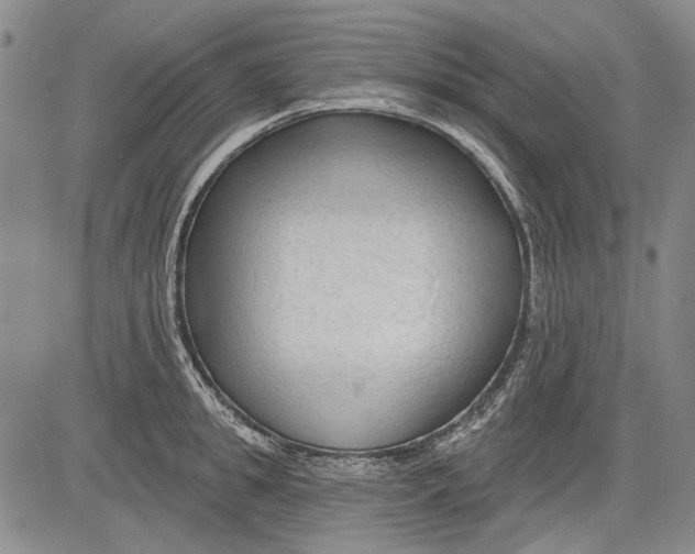 X0000083610949200703051540