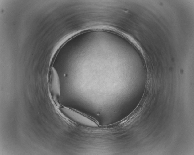 X0000083610951200703051540