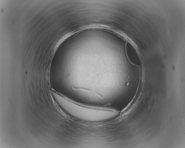 X0000083610953200703051540