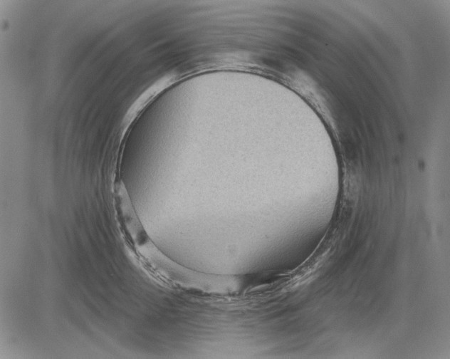 X0000083610954200703051540