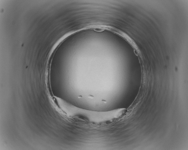 X0000083610955200703051540