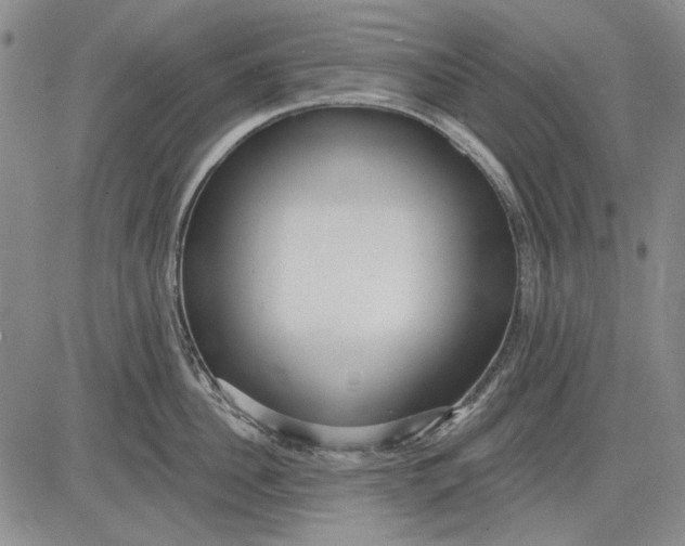 X0000083610956200703051540