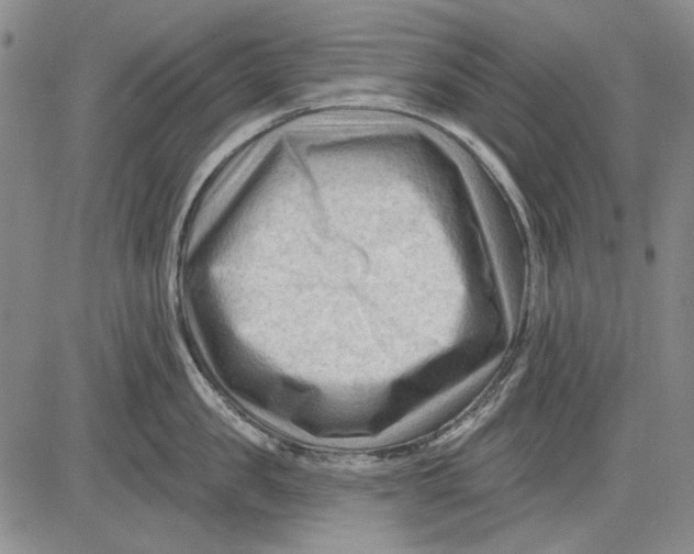 X0000083610957200703051540