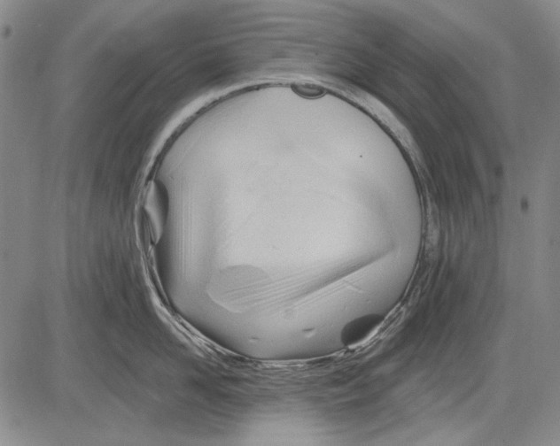 X0000083610958200703051540