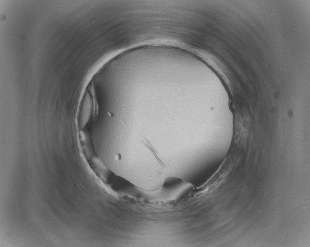 X0000083610959200703051540