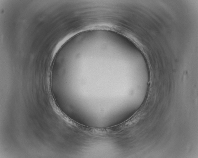 X0000083610960200703051540