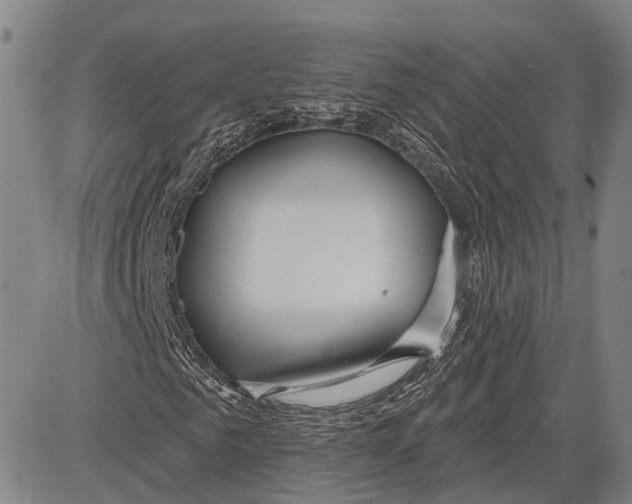 X0000083610961200703051539