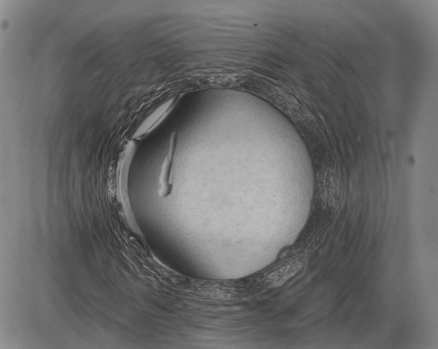 X0000083610962200703051539