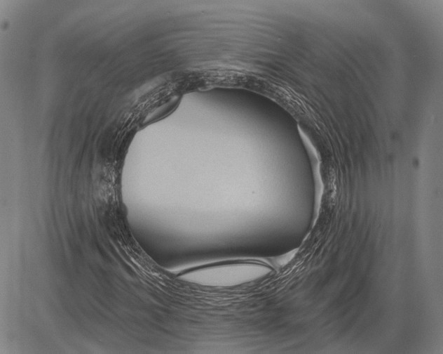 X0000083610964200703051539