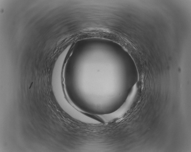 X0000083610965200703051539