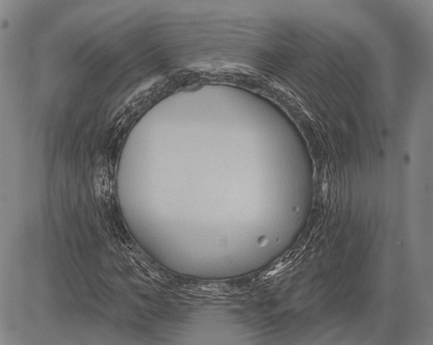 X0000083610966200703051539