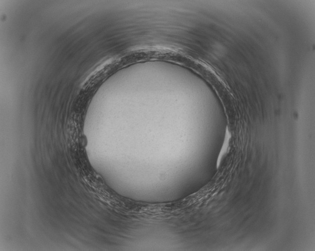 X0000083610967200703051539