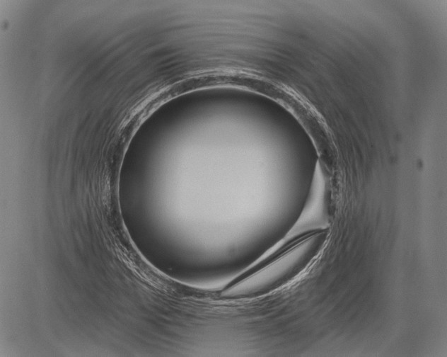 X0000083610969200703051539