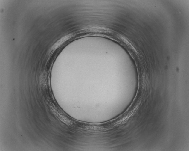 X0000083610970200703051539