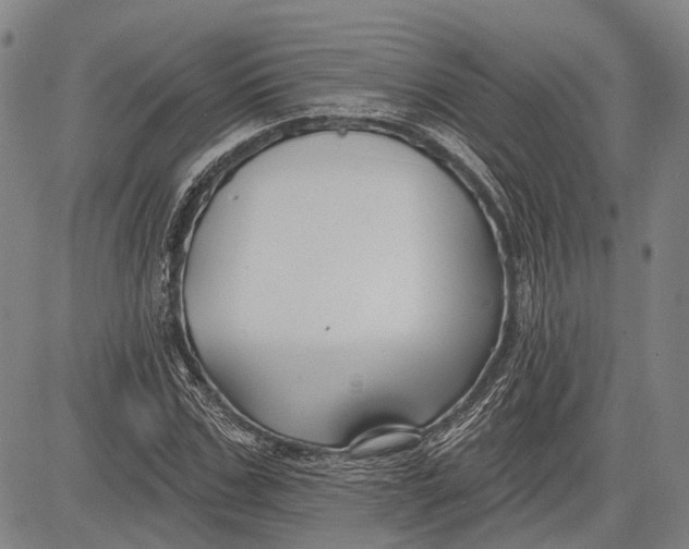 X0000083610971200703051539