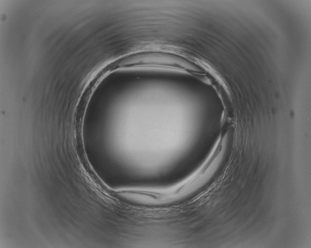 X0000083610972200703051539