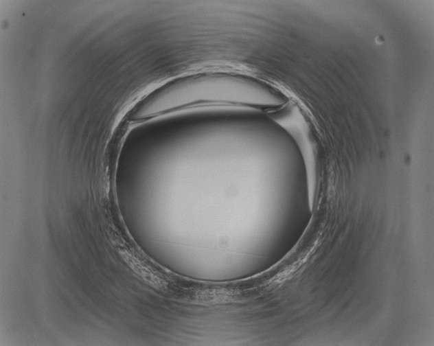 X0000083610973200703051539