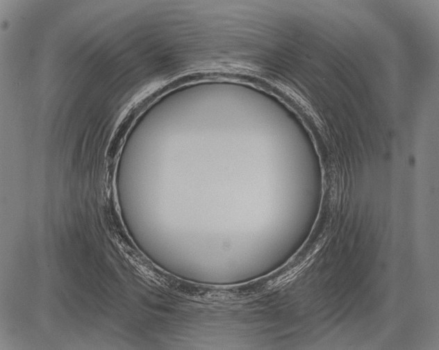 X0000083610974200703051539