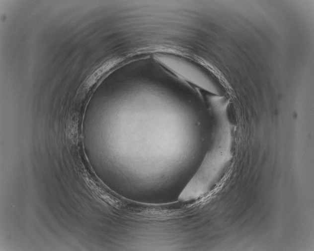 X0000083610977200703051539