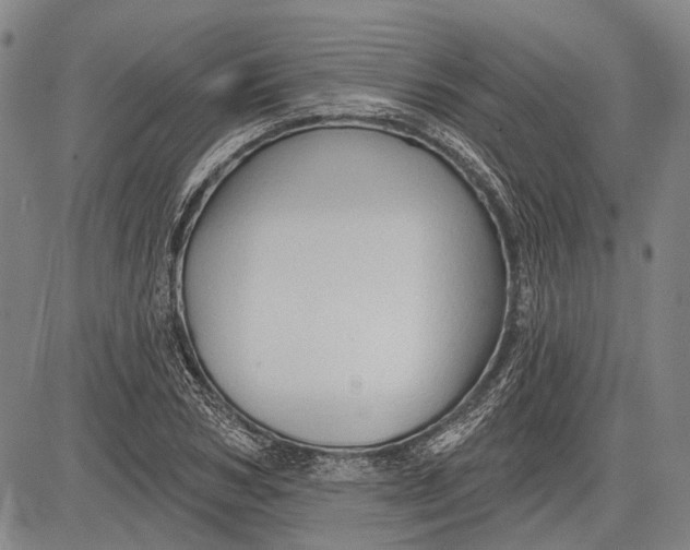 X0000083610978200703051539