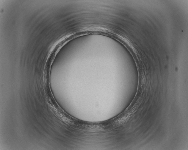 X0000083610979200703051539