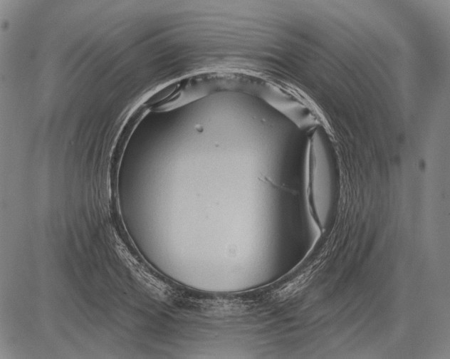 X0000083610980200703051539