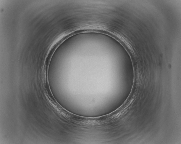 X0000083610982200703051539