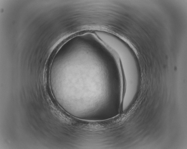 X0000083610983200703051539