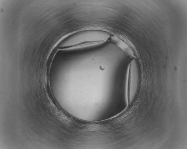 X0000083610984200703051539