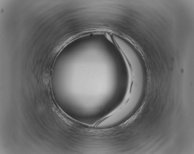 X0000083610985200703051539