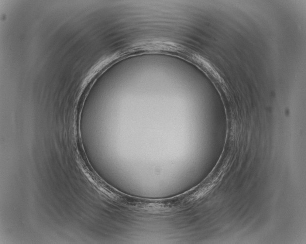 X0000083610986200703051539