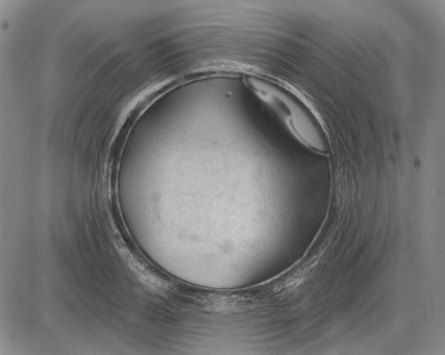 X0000083610987200703051539