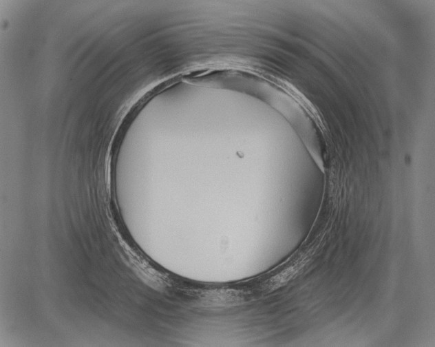 X0000083610988200703051539