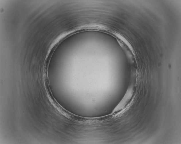 X0000083610989200703051539