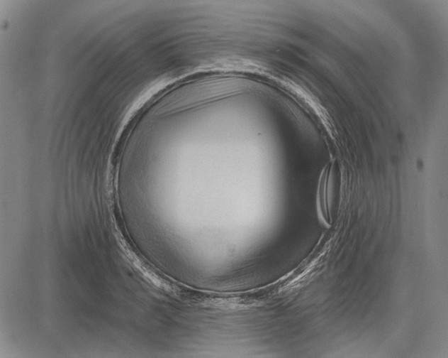 X0000083610990200703051539