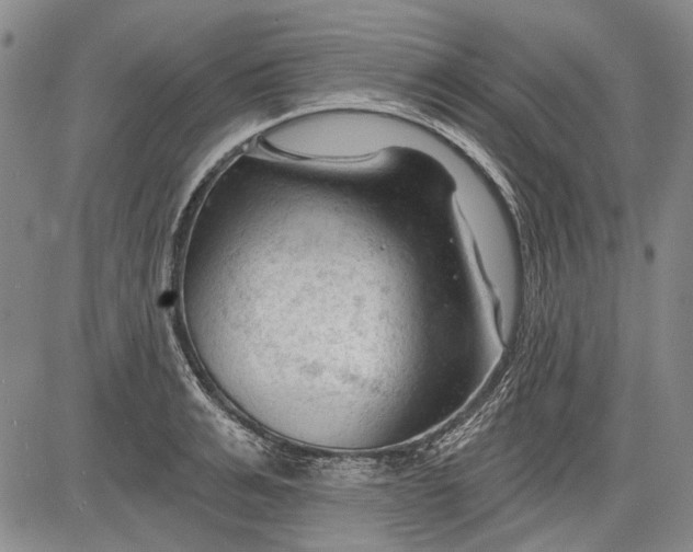 X0000083610991200703051539